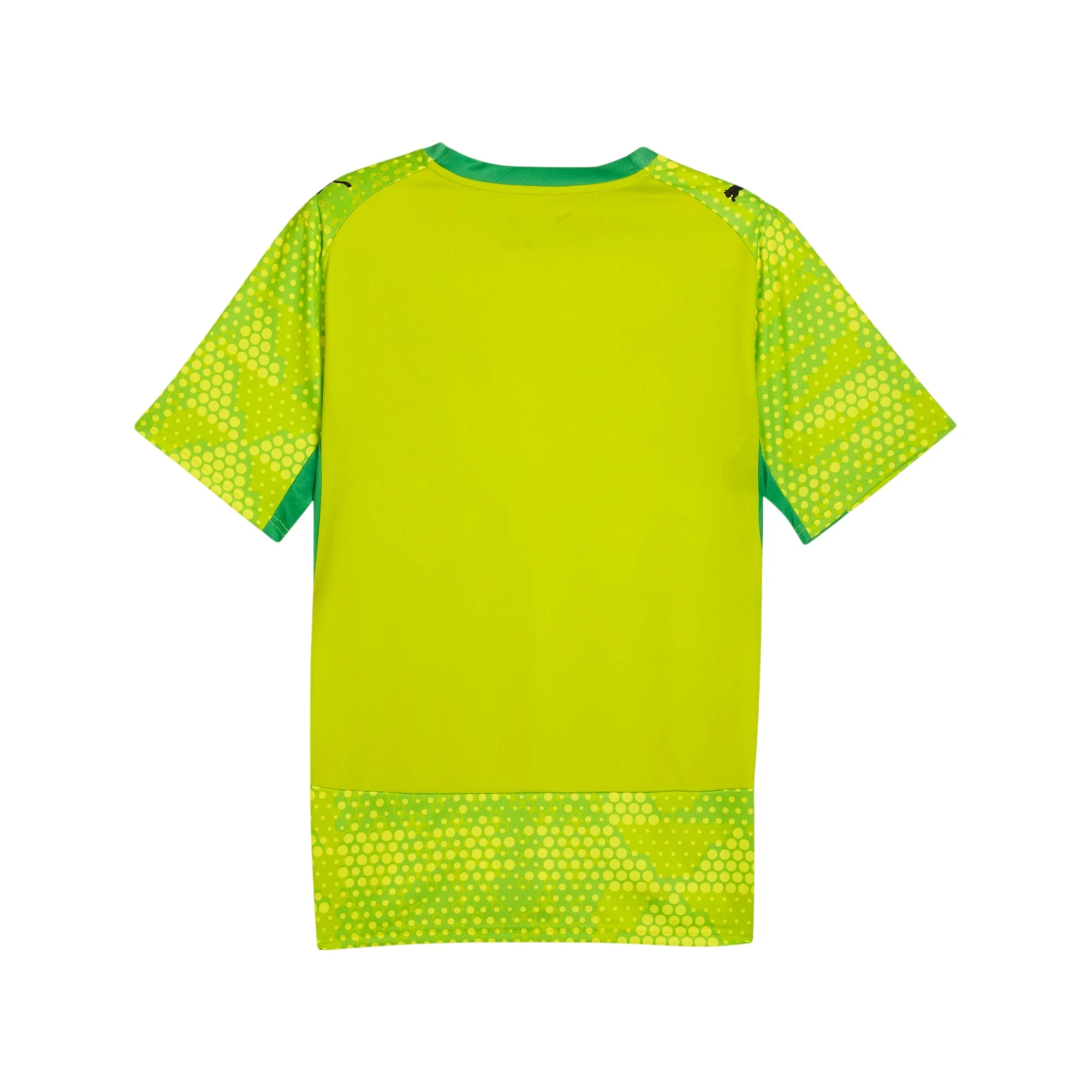 PUMA X GHANA X SALEHE BEMBURY Replica Match Jersey Goalkeeper Yellow - Image 2